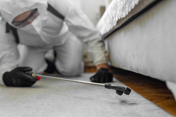 Professional Pest Control technician working in Jackson County County, TN